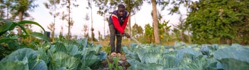 SunCulture Solar Water Pumps