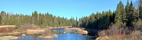 North Maine Woods Improved Forest Management