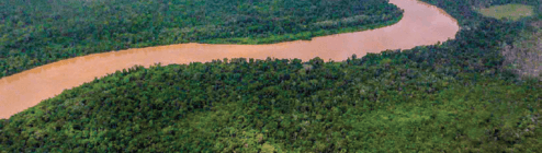 Katingan REDD+ Forest Protection